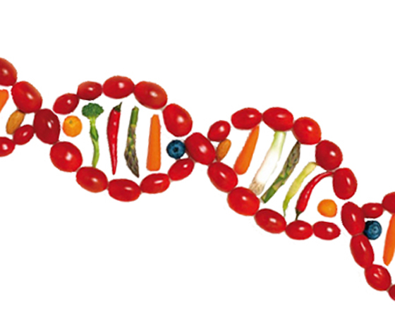 food and our genes, nutrigenomics