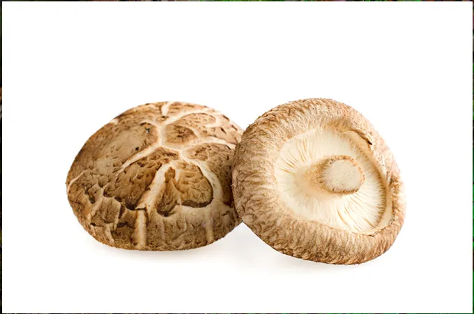 Medicinal Mushrooms, Medicinal Mushroom benefits